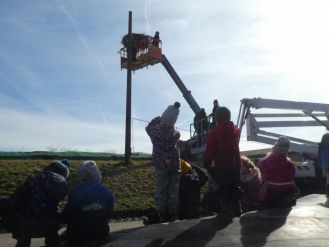 Bau eines Storchennestes mit der Kita Spatzennest Ottendorf