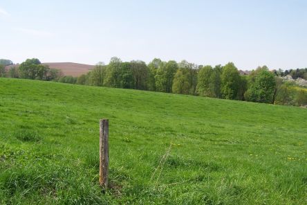 Frühjahrslandschaft