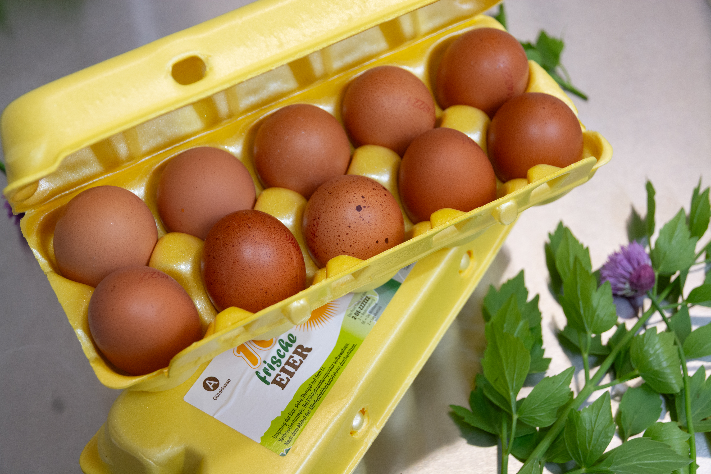 Eier im 10er-Pack
